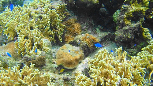 P7090912(1)