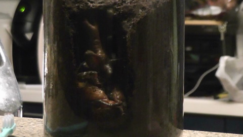 2013-06-20_191202(4)