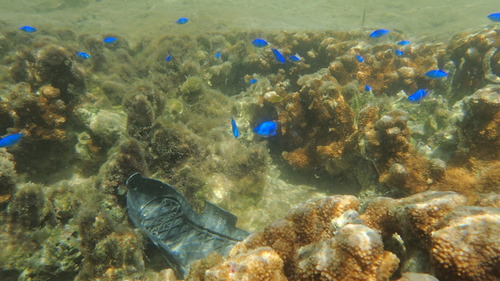 P7070705